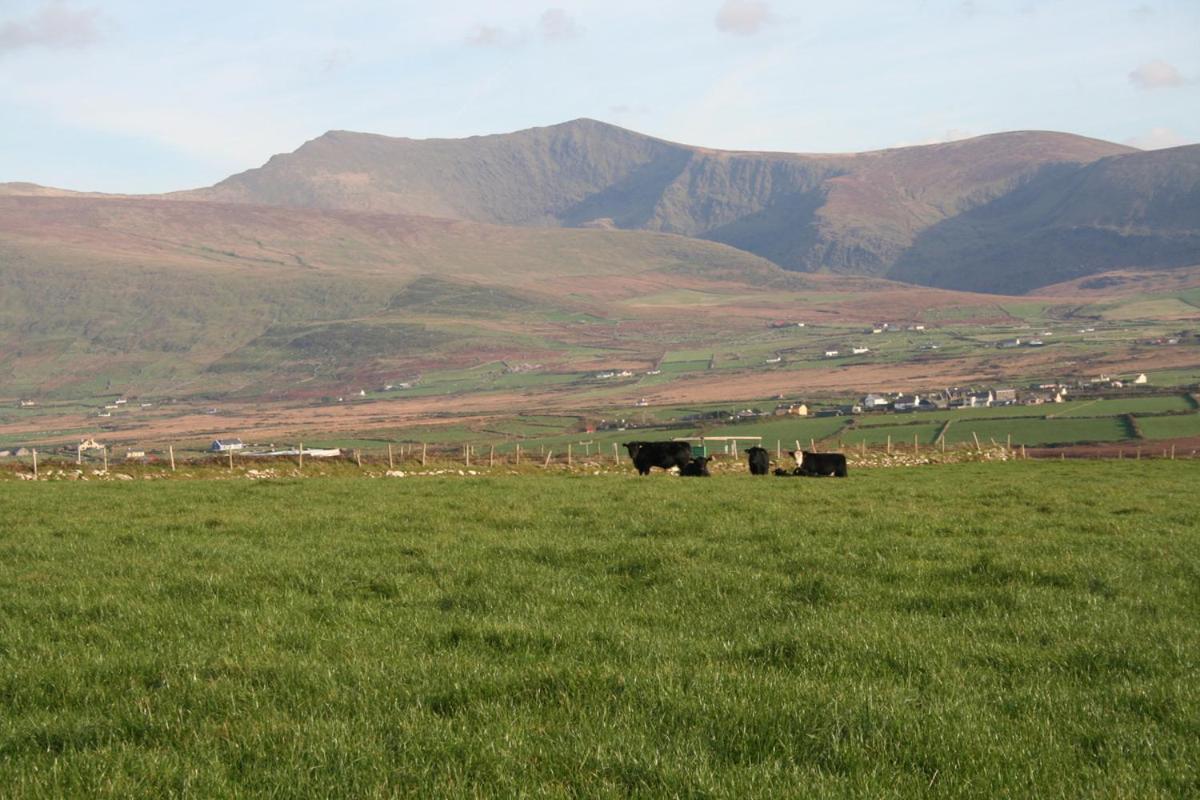 Coill An Rois B&B Ballydavid 외부 사진